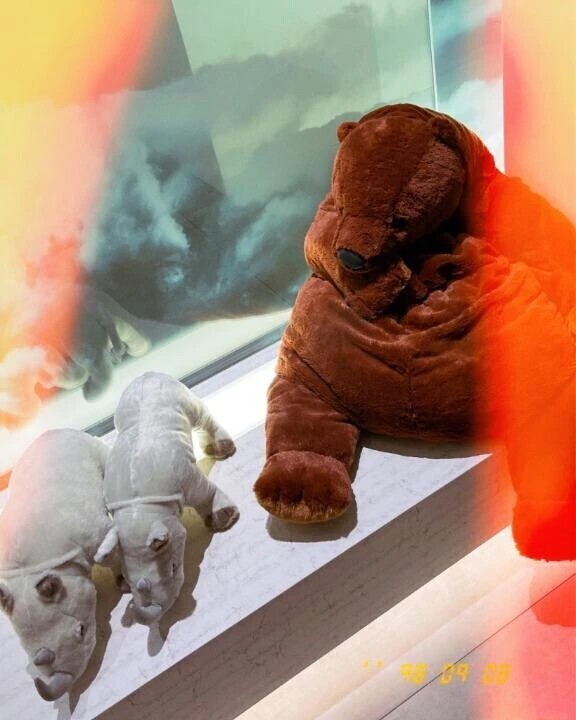 ありがとう日記❤︎