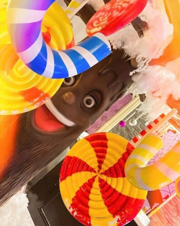 ありがとう日記❤︎