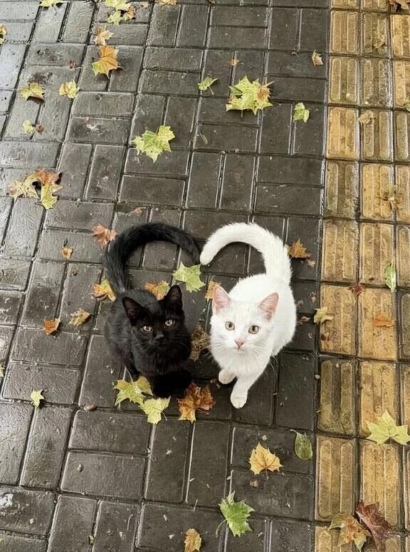 🙇🏻‍♀️💕