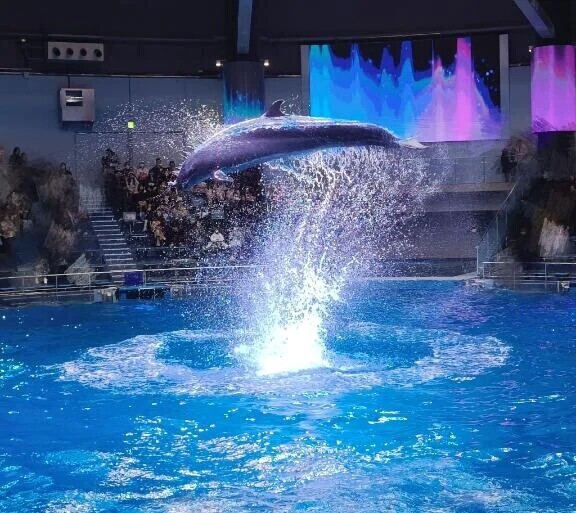 水族館🐬