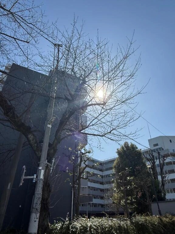 雲間から射す光