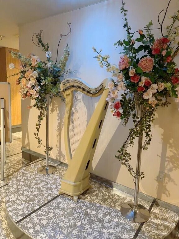 まさかの🪉ིྀ