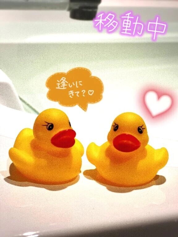 戻ってるとこだよ🤍ྀི