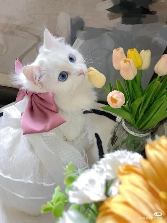 ラスト受付中です♡