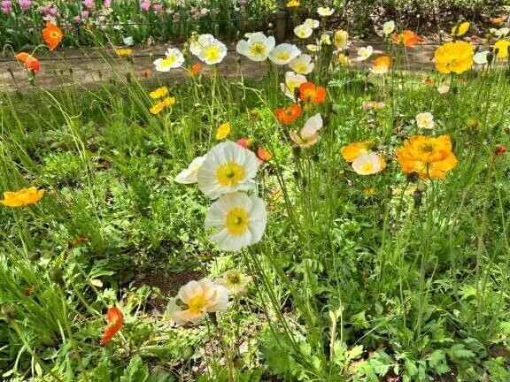 明後日から出勤です♡