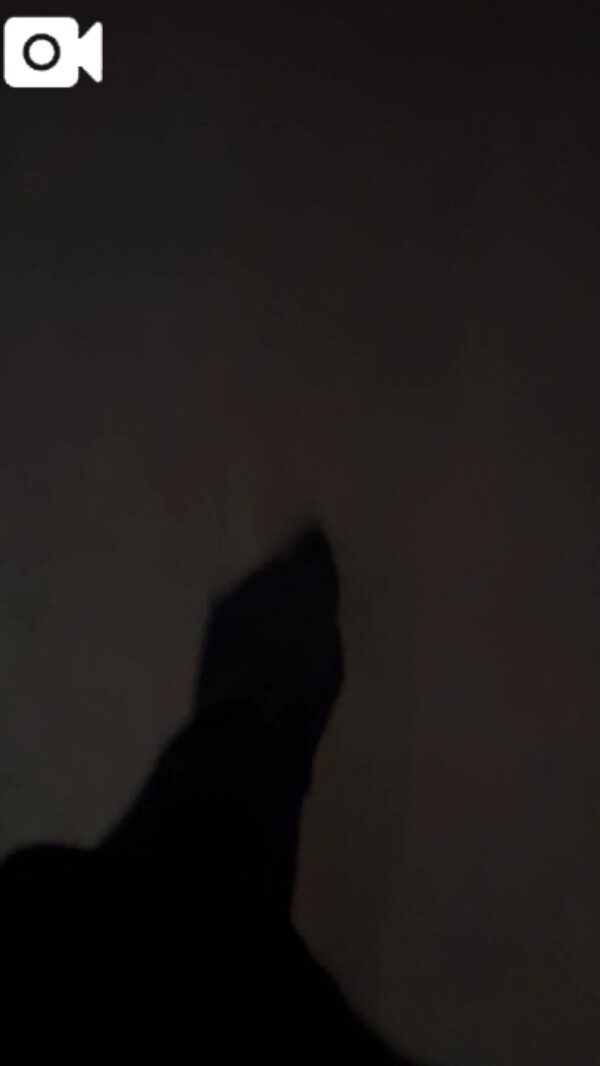🩷そっと出勤します🩷
