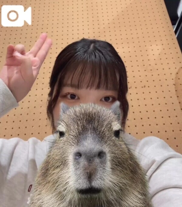 えちえちしたいのー！