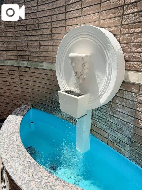 いやされる(◦ˉ ˘ ˉ◦)🍀