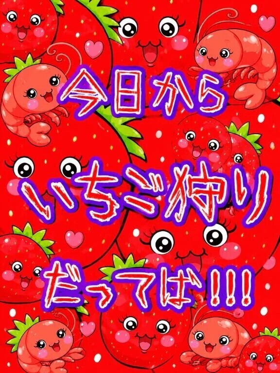 来週から👍🏻‪‪🤍