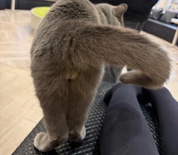 みせつけていくぅ〜