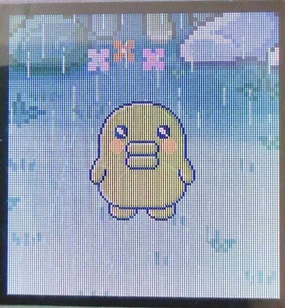 ちゃんみー