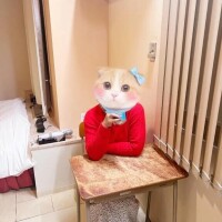 いずみ