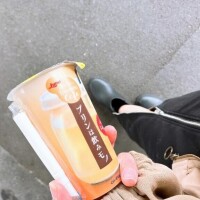 出張してきました🌼