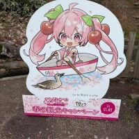 オキニトーク企画🎁