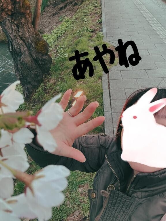 秘密の…