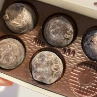 今日のまりなはお休みです