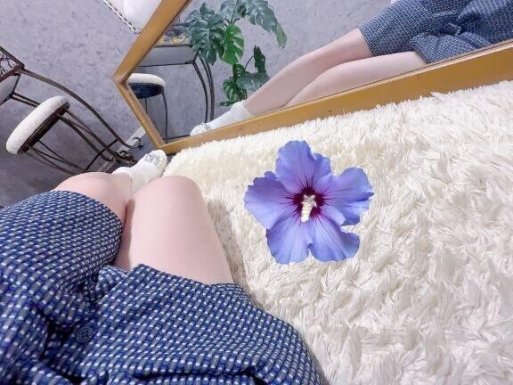 ✨🐬　んッて表情　🐬✨