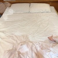 ✨🐬お潮といえば‼️🐬✨