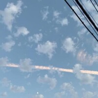 朝型？夜型？🌅