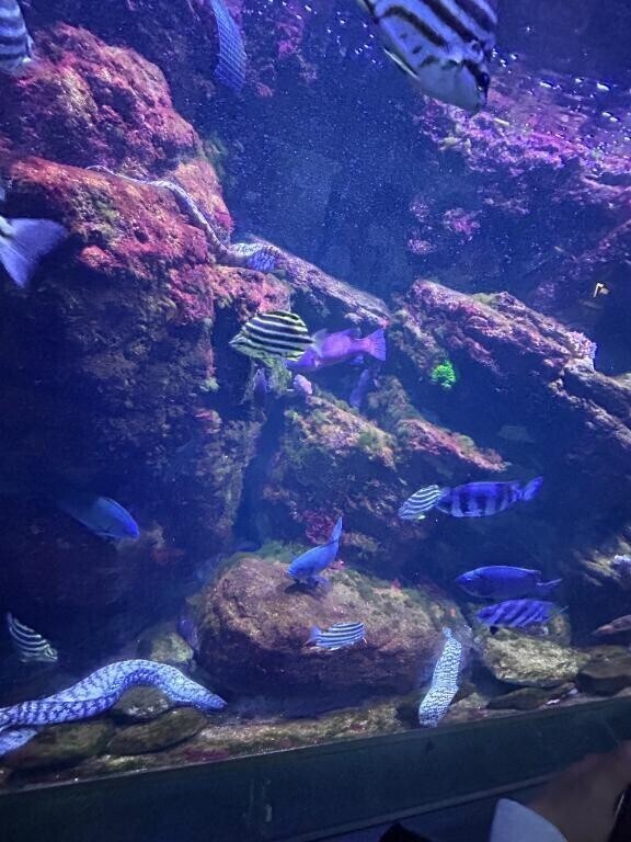 また降ってきたねー！