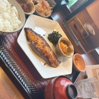 明日11時からいます！！！