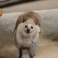三連休