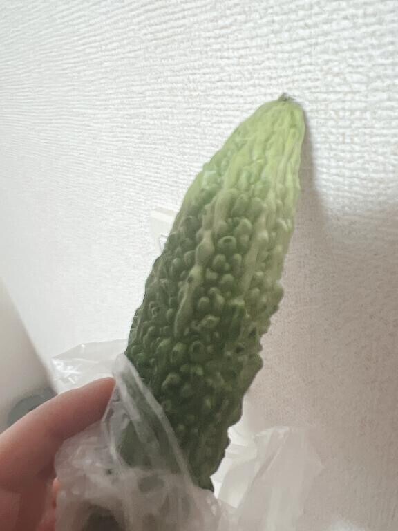 ゴーヤの季節🌸🌻🍂❄