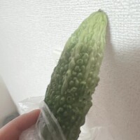 のえる