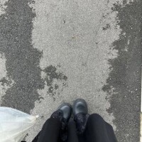 いつもありがとう🌼