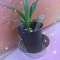 相棒はだれだ⁉️