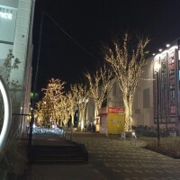 カラオケで何歌う？🎤