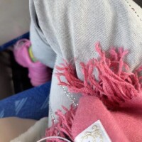 どこに行くでしょうか⁉️