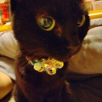 😭😭😭😭😭😭😭