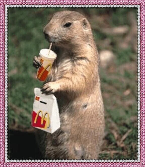 久しぶりに朝マック行ったよ