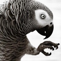 おはようございます☀