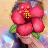 これからNさまー