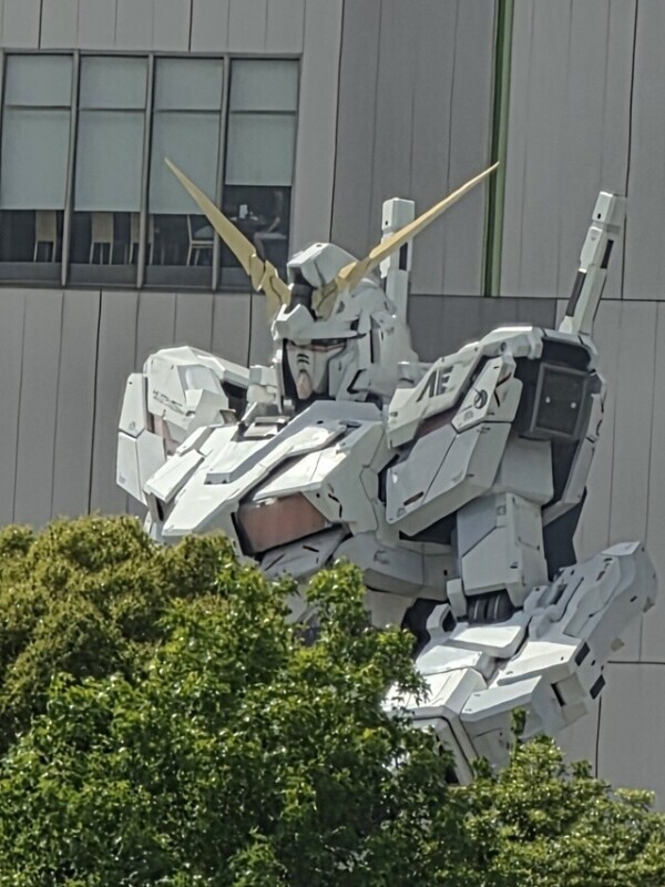 ここは、何処？