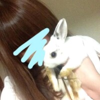 なう(((o(*ﾟ▽ﾟ*)o)))