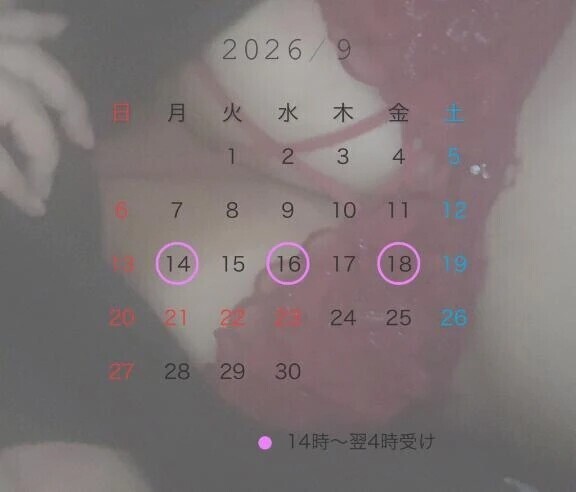 会える日!