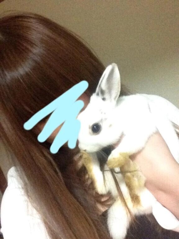 こんにちは(」・ω・)🩷