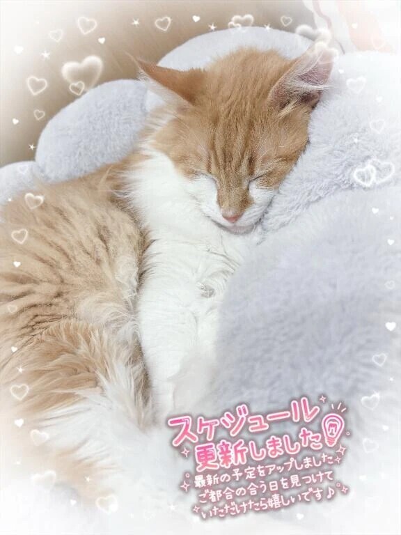 めっちゃ可愛い♡