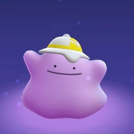 お休みします😭