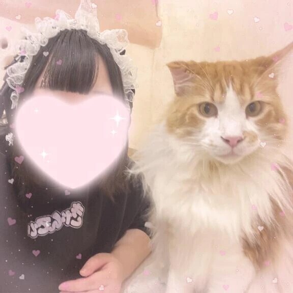 おはよう朝〜🔅