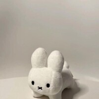 ひなた体験