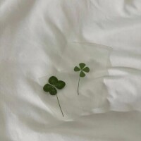 ひなた体験