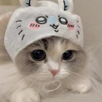るるか未経験