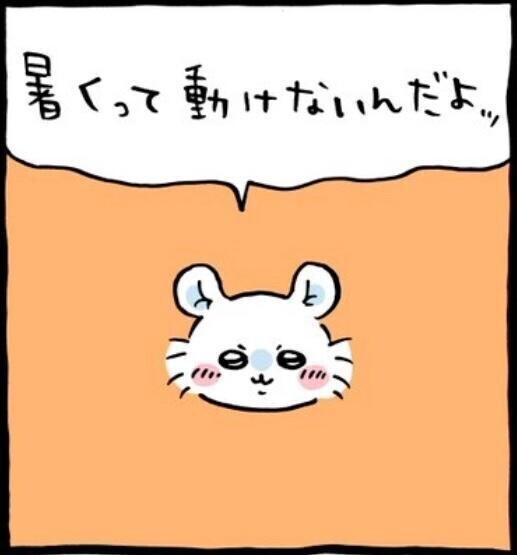 暑いよ〜🫠