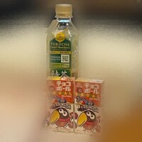 とい日記⛄️