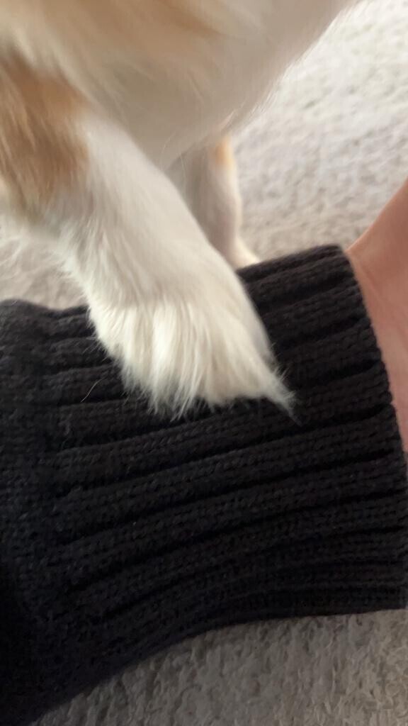 ハジメテ奪って♡