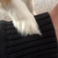 らむ体験